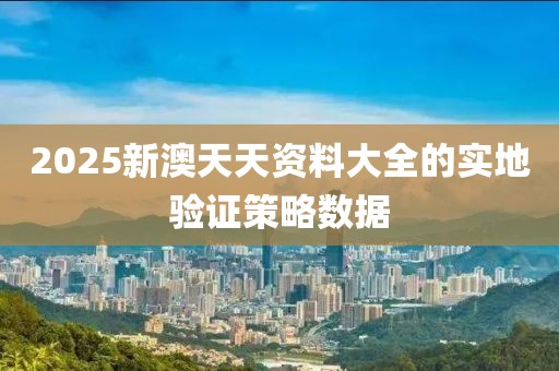 2025新澳天天資料大全的實地驗證策略數據