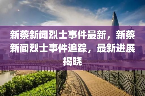 新蔡新聞烈士事件最新，新蔡新聞烈士事件追蹤，最新進展揭曉