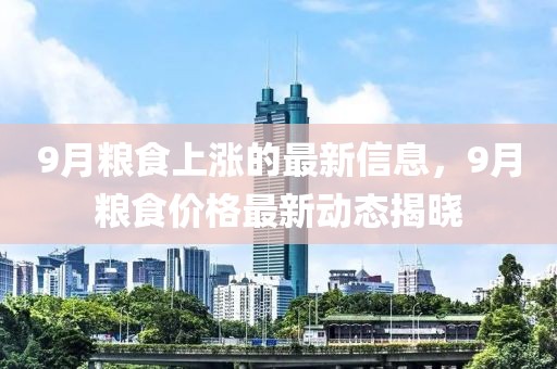 9月糧食上漲的最新信息，9月糧食價格最新動態揭曉