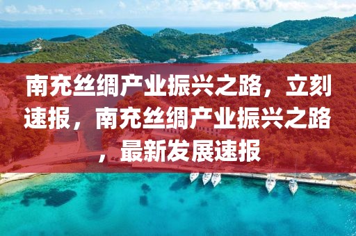 南充絲綢產業振興之路，立刻速報，南充絲綢產業振興之路，最新發展速報