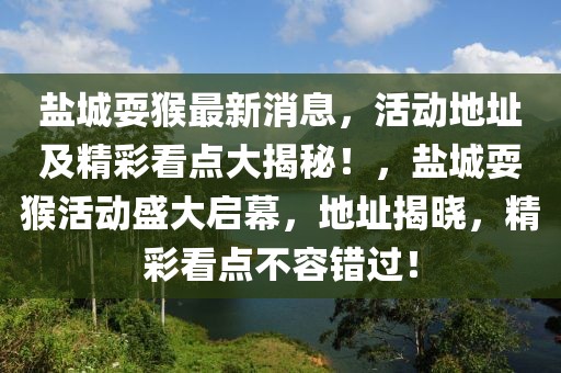 鹽城耍猴最新消息，活動(dòng)地址及精彩看點(diǎn)大揭秘！，鹽城耍猴活動(dòng)盛大啟幕，地址揭曉，精彩看點(diǎn)不容錯(cuò)過(guò)！