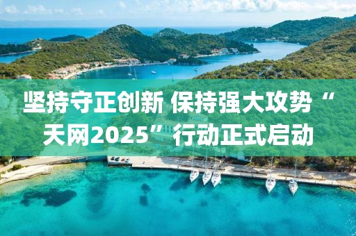 堅持守正創新 保持強大攻勢“天網2025”行動正式啟動