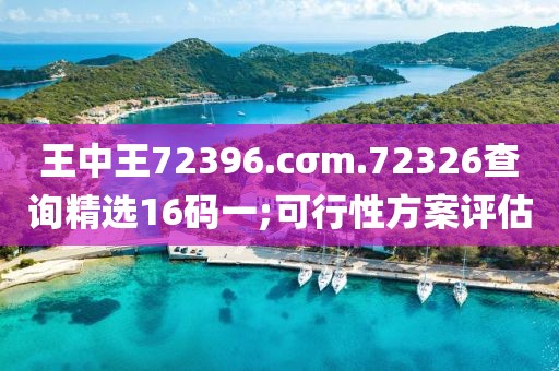 王中王72396.cσm.72326查詢精選16碼一;可行性方案評估