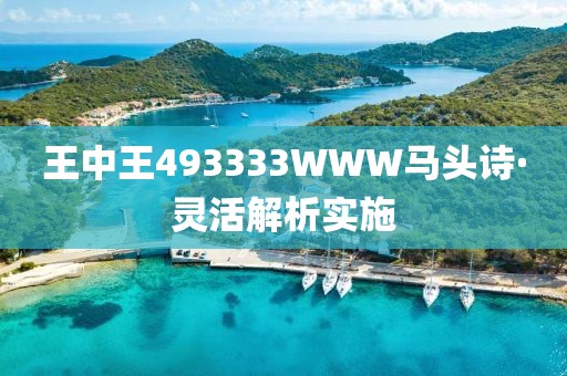 王中王493333WWW馬頭詩·靈活解析實施