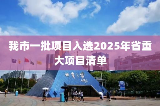 我市一批項目入選2025年省重大項目清單