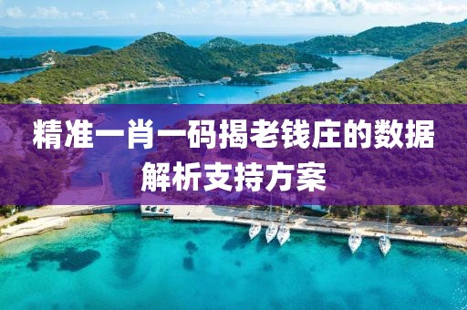 精準一肖一碼揭老錢莊的數據解析支持方案