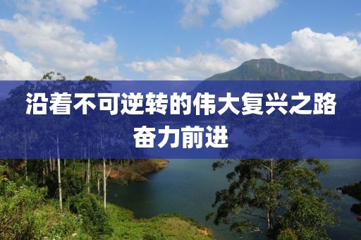 沿著不可逆轉(zhuǎn)的偉大復興之路奮力前進