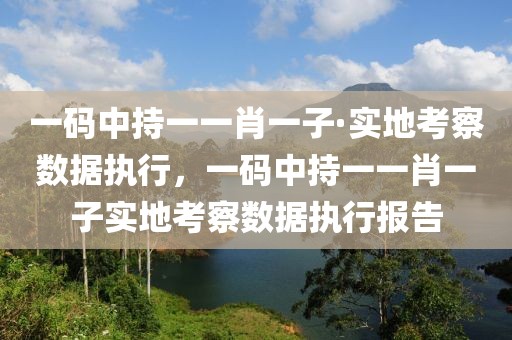 一碼中持一一肖一子·實(shí)地考察數(shù)據(jù)執(zhí)行，一碼中持一一肖一子實(shí)地考察數(shù)據(jù)執(zhí)行報告