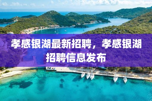 孝感銀湖最新招聘，孝感銀湖招聘信息發(fā)布