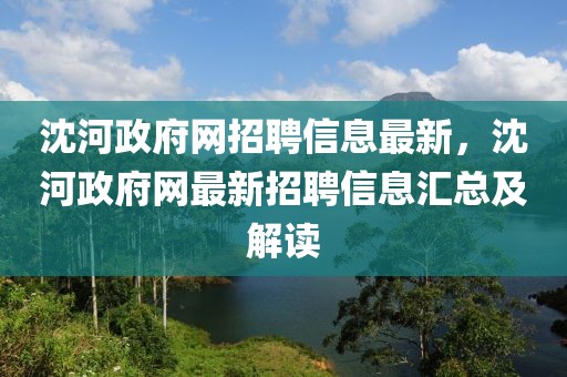 沈河政府網(wǎng)招聘信息最新，沈河政府網(wǎng)最新招聘信息匯總及解讀