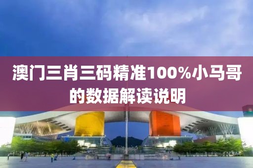 澳門三肖三碼精準100%小馬哥的數據解讀說明