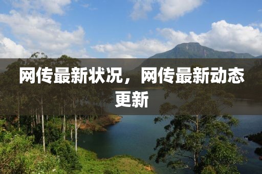 網傳最新狀況，網傳最新動態更新