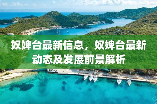 奴婢臺最新信息，奴婢臺最新動態(tài)及發(fā)展前景解析