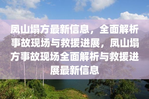 鳳山塌方最新信息，全面解析事故現(xiàn)場與救援進(jìn)展，鳳山塌方事故現(xiàn)場全面解析與救援進(jìn)展最新信息
