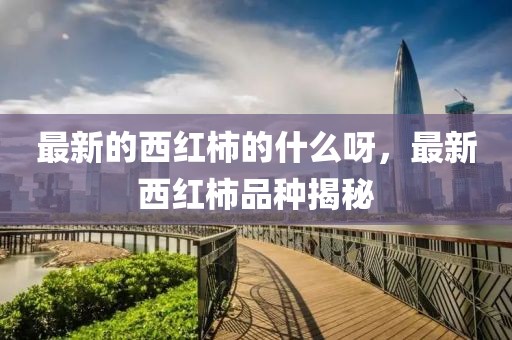 最新的西紅柿的什么呀，最新西紅柿品種揭秘