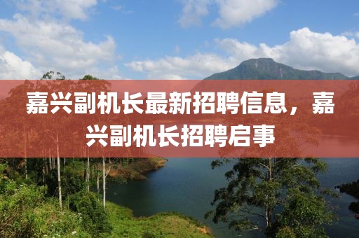 嘉興副機長最新招聘信息，嘉興副機長招聘啟事