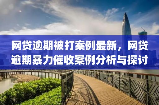 網貸逾期被打案例最新，網貸逾期暴力催收案例分析與探討