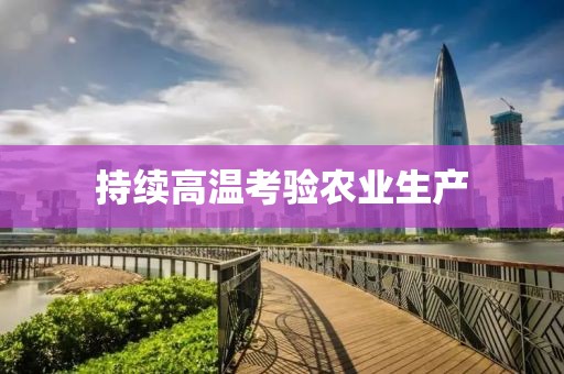 2025年3月28日 第17頁