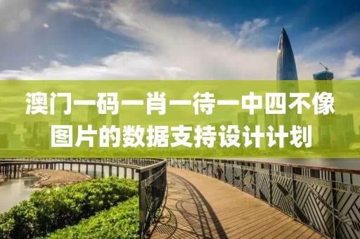 澳門一碼一肖一待一中四不像圖片的數據支持設計計劃