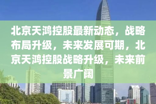 北京天鴻控股最新動態，戰略布局升級，未來發展可期，北京天鴻控股戰略升級，未來前景廣闊