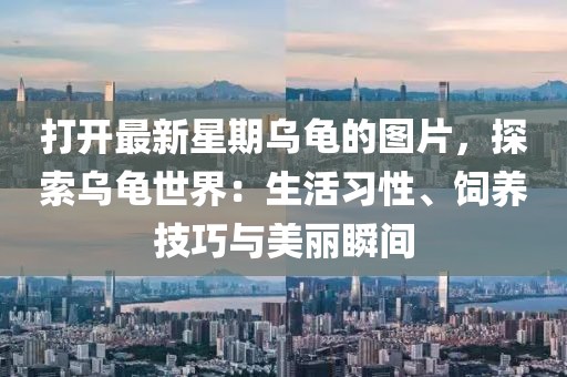 打開最新星期烏龜?shù)膱D片，探索烏龜世界：生活習(xí)性、飼養(yǎng)技巧與美麗瞬間