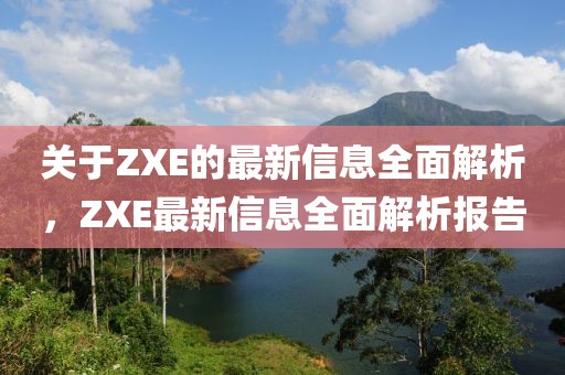 關于ZXE的最新信息全面解析，ZXE最新信息全面解析報告