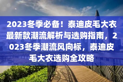 2023冬季必備！泰迪皮毛大衣最新款潮流解析與選購指南，2023冬季潮流風向標，泰迪皮毛大衣選購全攻略