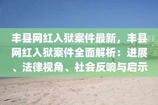 豐縣網紅入獄案件最新，豐縣網紅入獄案件全面解析：進展、法律視角、社會反響與啟示