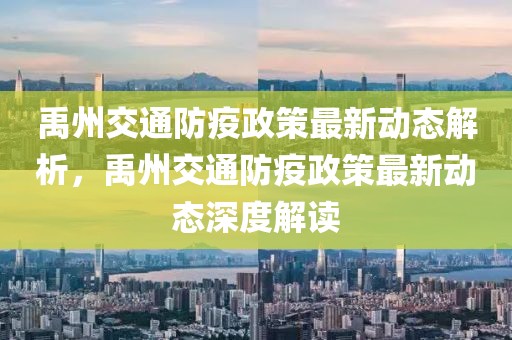 禹州交通防疫政策最新動態解析，禹州交通防疫政策最新動態深度解讀