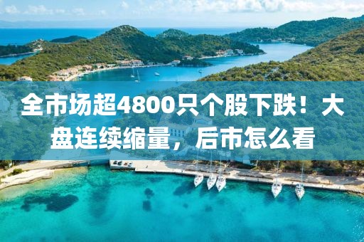全市場超4800只個股下跌！大盤連續(xù)縮量，后市怎么看