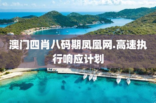 澳門四肖八碼期鳳凰網.高速執行響應計劃