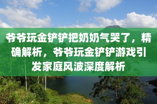 爺爺玩金鏟鏟把奶奶氣哭了，精確解析，爺爺玩金鏟鏟游戲引發家庭風波深度解析