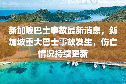 新加坡巴士事故最新消息，新加坡重大巴士事故發生，傷亡情況持續更新