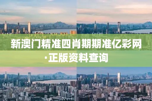 新澳門精準四肖期期準億彩網·正版資料查詢