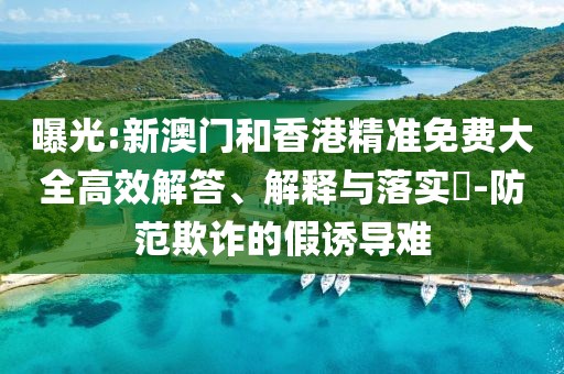 曝光:新澳門和香港精準(zhǔn)免費(fèi)大全高效解答、解釋與落實?-防范欺詐的假誘導(dǎo)難