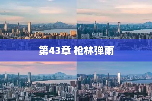 第43章 槍林彈雨