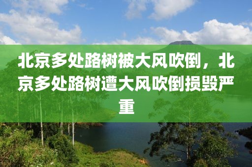 北京多處路樹被大風吹倒，北京多處路樹遭大風吹倒損毀嚴重