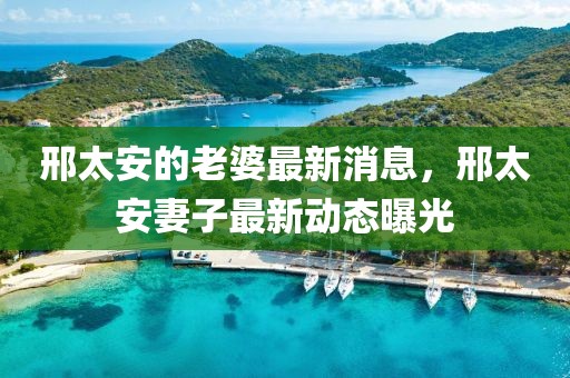 邢太安的老婆最新消息，邢太安妻子最新動態(tài)曝光