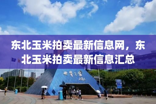 東北玉米拍賣最新信息網，東北玉米拍賣最新信息匯總