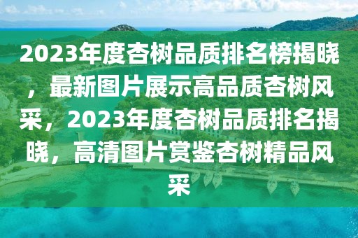 2023年度杏樹品質排名榜揭曉，最新圖片展示高品質杏樹風采，2023年度杏樹品質排名揭曉，高清圖片賞鑒杏樹精品風采