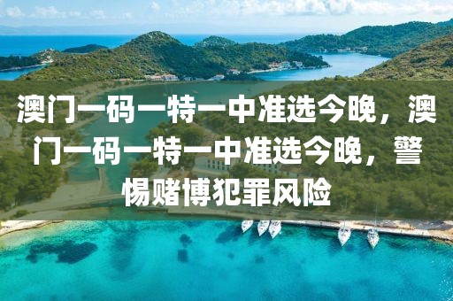 澳門一碼一特一中準選今晚，澳門一碼一特一中準選今晚，警惕賭博犯罪風險