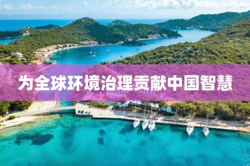 為全球環境治理貢獻中國智慧