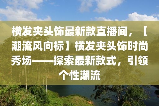 橫發夾頭飾最新款直播間，【潮流風向標】橫發夾頭飾時尚秀場——探索最新款式，引領個性潮流