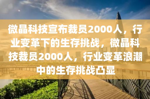 微晶科技宣布裁員2000人，行業(yè)變革下的生存挑戰(zhàn)，微晶科技裁員2000人，行業(yè)變革浪潮中的生存挑戰(zhàn)凸顯
