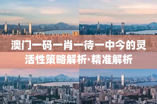 澳門一碼一肖一待一中今的靈活性策略解析·精準解析