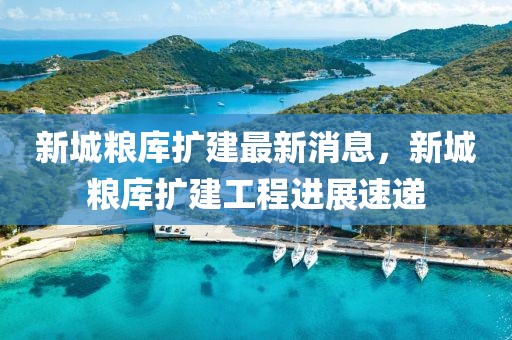 新城糧庫擴建最新消息，新城糧庫擴建工程進展速遞