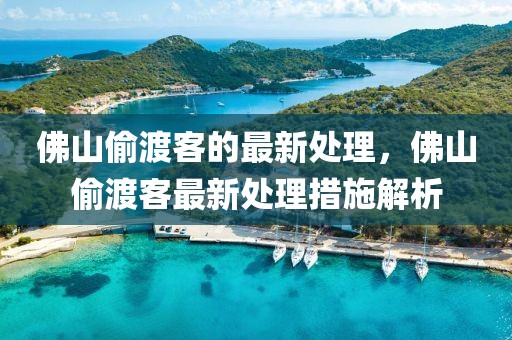 佛山偷渡客的最新處理，佛山偷渡客最新處理措施解析