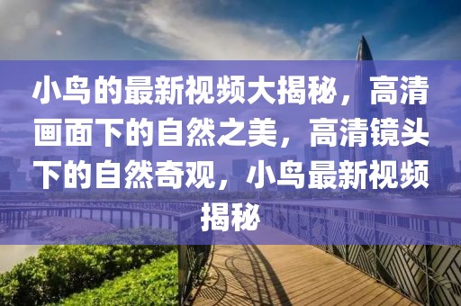 小鳥的最新視頻大揭秘，高清畫面下的自然之美，高清鏡頭下的自然奇觀，小鳥最新視頻揭秘