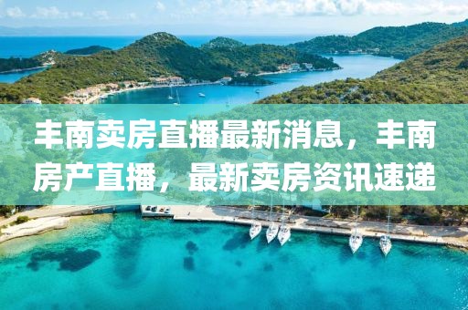 豐南賣房直播最新消息，豐南房產直播，最新賣房資訊速遞