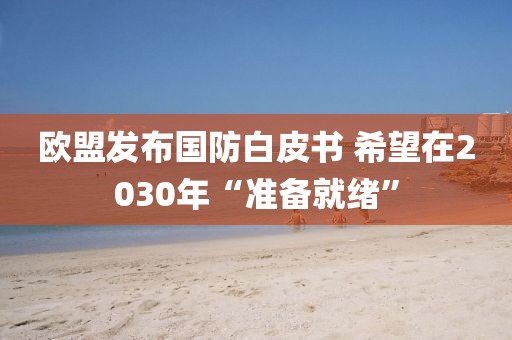 歐盟發(fā)布國防白皮書 希望在2030年“準備就緒”